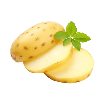 Potato slice for digital use on clear background png