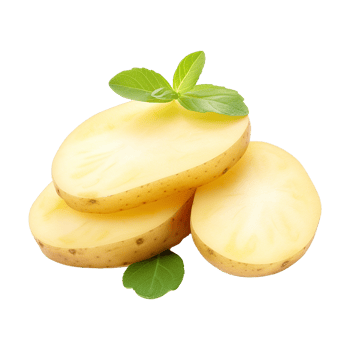 Unique style potato slice on transparent background png