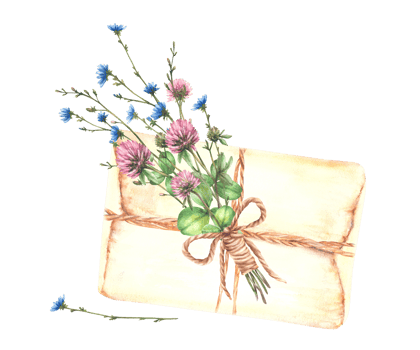 Wildflower bouquet tied with a cord and a vintage letter. Blue chicory flowers and pink clover with meadow green herbs. Love message, gift. Watercolor hand drawn illustration. Isolated from background png