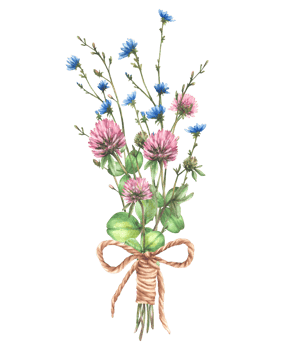 Wildflower lovely bouquet tied with a cord Field pink clover, blue chicory flowers and buds, meadow herbs. Cute Bunch of summer gift Watercolor hand drawn illustration Clipart Isolated from background png