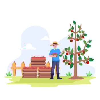 Farmer Harvesting apples in basket flat background illustration. vector