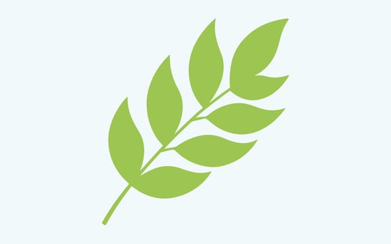 Elegant Green Leaf image clipart illustration vector