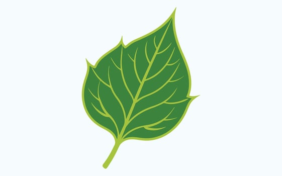 Green Leaf Vibrant Art vector