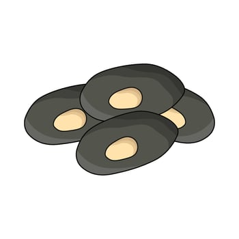 illustration of black bean vector