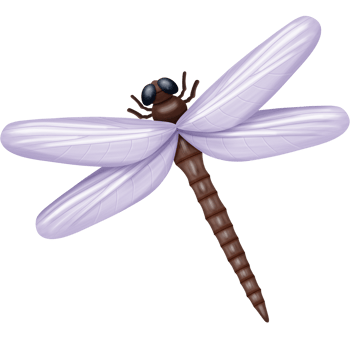 purple dragonfly insect png