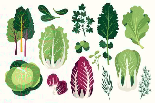 Flat salad. Cartoon healthy vegan food ingredients, fresh greens and spices, healthy food and low callories concept. isolated set vector