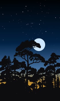 Forest night illustration with full moon and stats vector