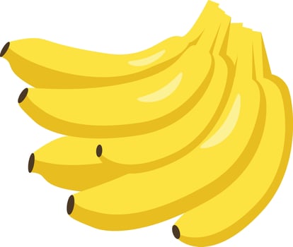 a bunch of bananas on a white background vector