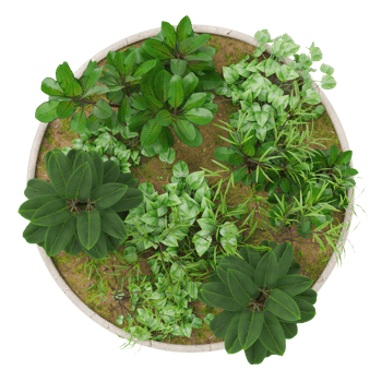 Top view of round plant pot featuring lush green foliage and decorative plants. On transparent background. Ideal for use in architectural floor plans, garden design, and landscaping projects. 3D. png