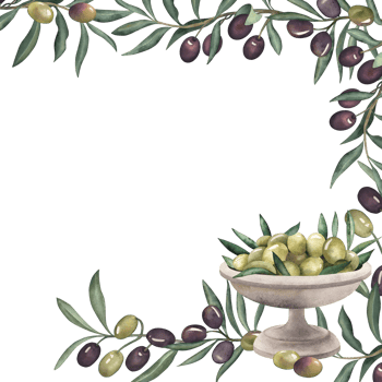Frame decorated with illustrations of branches, olive leaves, vase, plate filled with olives. The plant and dishes are hand-drawn with watercolors in a botanical style. For menu design, packaging png