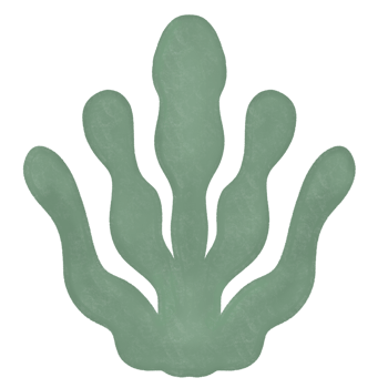 Green seaweed, looks delicious. png