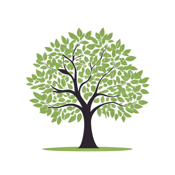 Green tree on transparent background, tree png
