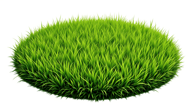 green grass round on transparent background png