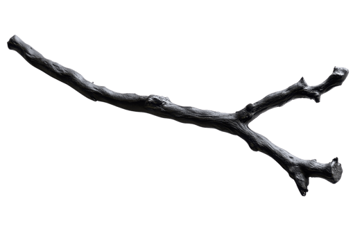 Black branch isolated on transparent background. Perfect for nature, wood, forest, and botanical-themed projects, adding a rustic and natural touch. png