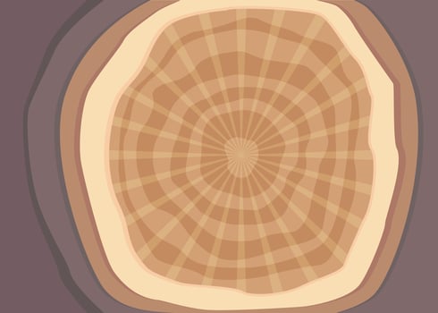 Wood papercut style background vector