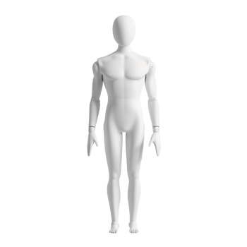 White blank human figure standing upright, ideal for design, art, and educational purposes, highlighting anatomical structure. png