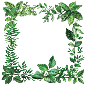 Beautiful frame of green leaves providing a natural border perfect for invitations, websites, and designs. png