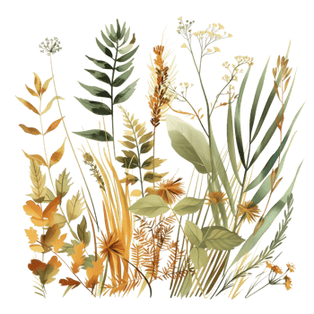Elegant botanical illustration featuring various green and golden plants, perfect for nature-themed projects and backgrounds. png