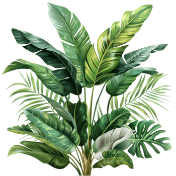 Beautiful tropical plant foliage with lush green leaves, perfect for botanical backgrounds and nature-themed designs. png