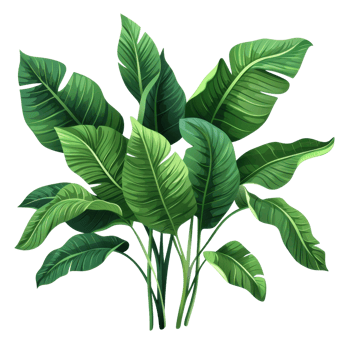 Tropical green plant leaves isolated on transparent background. perfect for nature, tropical, and botanical themes in design and decor. png
