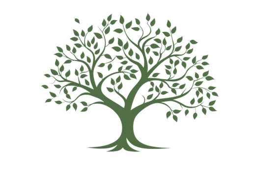 Illustration of a tree with lush green leaves and sturdy branches isolated on transparent background. perfect for nature and botanical themes. png