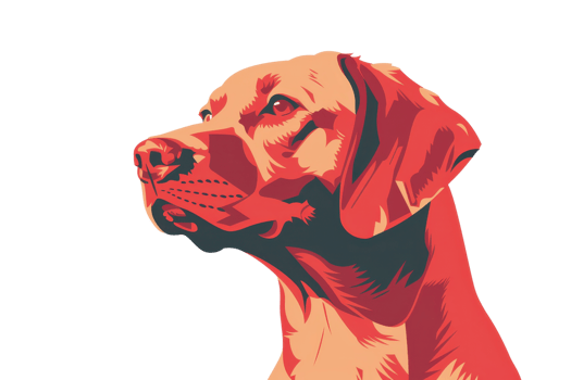 Colorful digital illustration of a dog with vibrant, artistic design, highlighting the dog's detailed features with bold, contrasting colors. png