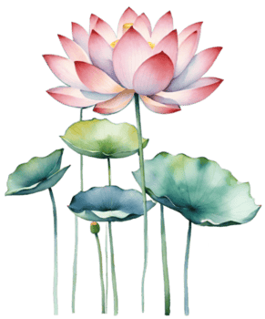watercolor lotus flower clipart png