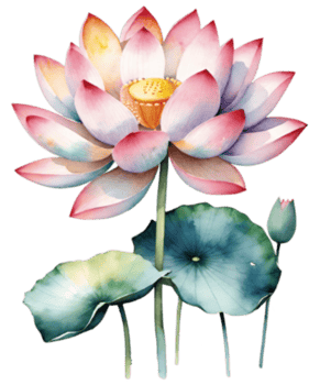 watercolor lotus flower clipart texture papers png