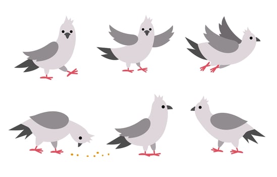 Pigeons set. City bird illustration. Cute character icons collection isolated on white background. French symbol picture vector