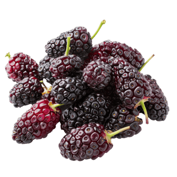 Heap of Fresh Mulberries, clipping path isolate on transparency background png