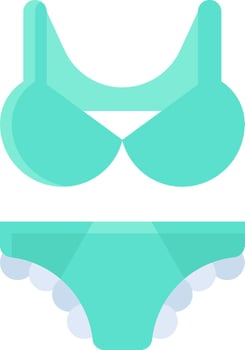 A bikini and a bra on a white background vector