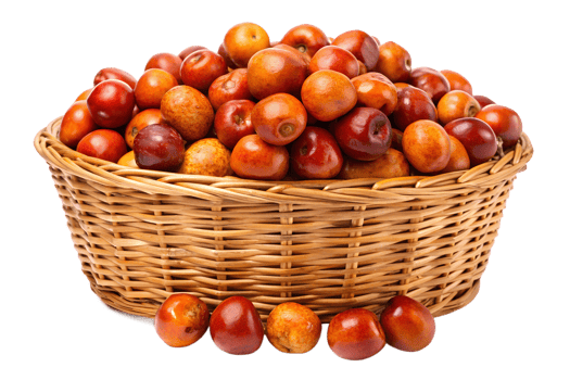Lots of Jujube png
