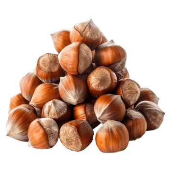 Heap of Hazelnuts isolate on transparency background png