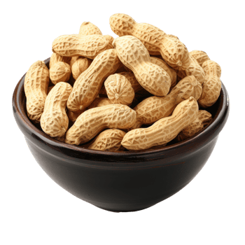 Peanuts in a bowl isolate on transparency background png