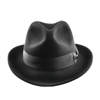 Fedora front view full length isolate on transparency background png