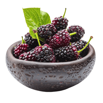 Fresh Mulberries in a bowl front view isolate on transparency background png