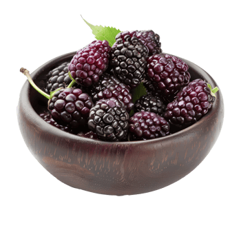 Fresh Mulberries in a bowl front view isolate on transparency background png