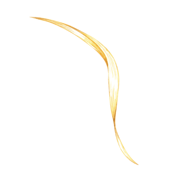 Single, elegantly curved oat leaf in warm golden tones. Watercolor clipart. Botanical illustration ideal for herbal product labels, natural cosmetics packaging, and eco-friendly design projects png