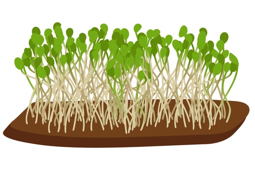 Green shoots on the ground vector