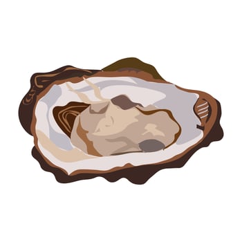 ostiones which are translated as Crassostrea. Mexican seafood oysters prepared to eat. vector