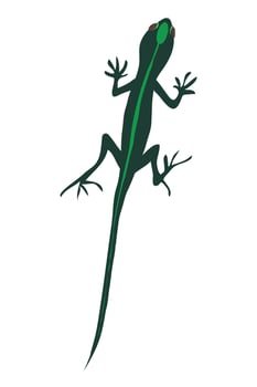 lagartija or lizard illustration which is dark green in color having parrot central line vector