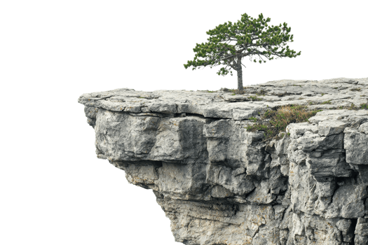A lone tree standing resiliently on the edge of a rugged cliff, showcasing natural beauty and strength. png