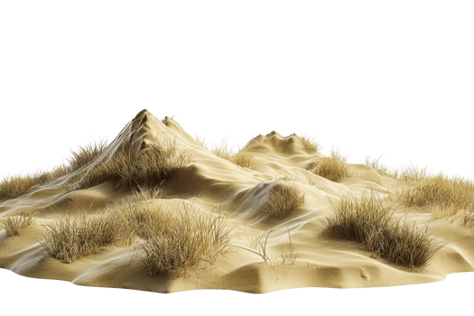 A picturesque sandy dune landscape with small tufts of grass, capturing the serene essence of a desert or coastal scene. png