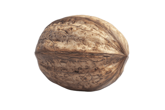 Close-up of a single walnut with detailed texture, showcasing its natural shell. Perfect for food, health, and nutrition themes. png