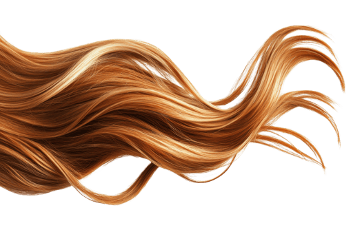 Close-up of flowing, wavy, brown hair on a transparent background. showcasing hair texture and beauty. png