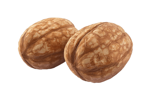 Close-up of two whole walnuts isolated on a transparent background. Perfect for food, health, and nutrition-related projects. png
