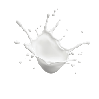 Fresh milk splash creating dynamic shapes isolated on transparent background. png
