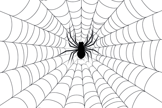 Intricate spider web spun meticulously with the spider at the center, showcasing nature's delicate and detailed craftsmanship. png