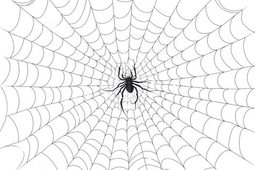 Intricate spider web with a spider at the center, showcasing delicate patterns and natural beauty, perfect for Halloween or nature themes. png