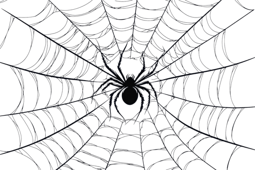 Close-up of a symmetrical spider web with a spider at the center against a dark background, showcasing intricate details and delicate craftsmanship. png